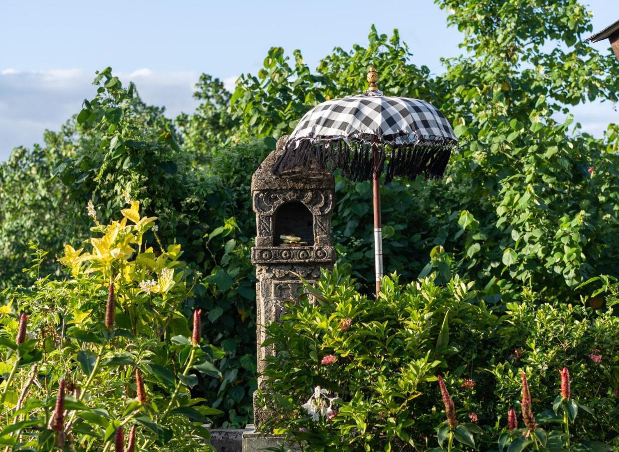 Resort Masmara